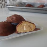 Coconut Chocolate Peanut Butter Balls_image