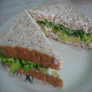 Avocado Sandwich_image