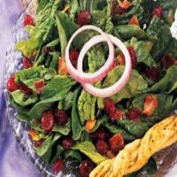 CRANBERRY-SPINACH SALAD WITH WARM BACON DRESSING image