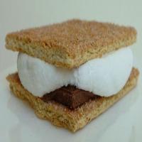 Real Honest-to-Goodness Indoor S'Mores (really!) image