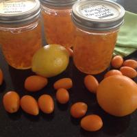 Kumquat-Orange Marmalade image