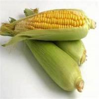 My Lime and Parmesan grilled Corn on the Cob_image