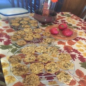 Oatmeal Craisin Cookies (World's Best!!) Recipe - Food.com_image