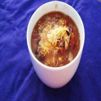 Southwest Chicken Stew for the Crock Pot_image