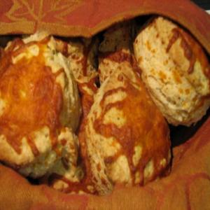 Babychops' Bomb Diggity Cheddar Herb Biscuits image