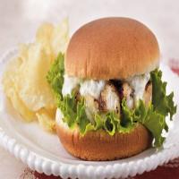 Grilled Grouper Sandwiches_image