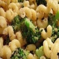 Pasta and Chicken in Roasted Garlic Sauce_image