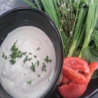 Easy Microwave Salad Dressing_image