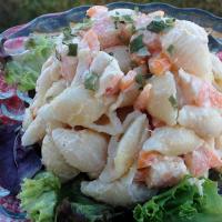 Shrimp and Pasta Shell Salad_image