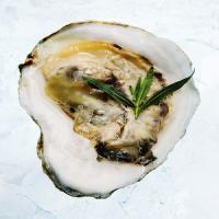 Oysters with Champagne-Tarragon Mignonette_image