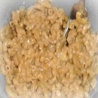 Light Whole Wheat Pasta With Creamy White Cheese Sauce image