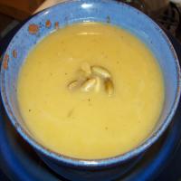 Squash, Ginger and Apple Soup_image