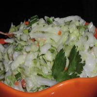Tequila Slaw with Lime and Cilantro_image