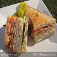 Special Club Sandwich_image