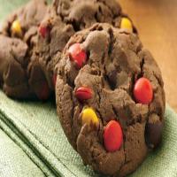 Chocolate-Peanut Butter Candy Cookies_image