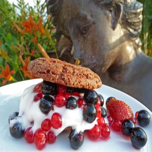 Chocolate Shortcakes With Mixed Berries and Raspberry Sauce image