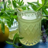 Old-Fashioned Lemon Verbena Lemonade Syrup image