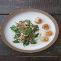 Seared Scallops with Grapefruit-Fennel Salad_image