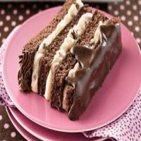 Decadent Chocolate Torte image