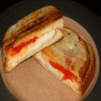 Chicken and Roasted Red Pepper Panini Style Sandwiches_image