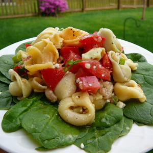 Tortellini Picnic Salad_image