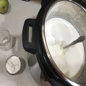 Instant Pot SCD lactose-free Yogurt image