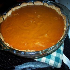 Good Ol' Pumpkin Pie_image