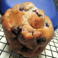 Blueberry and Banana Muffins (Light)_image