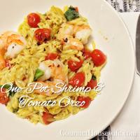 One-Pot Shrimp and Tomato Orzo_image
