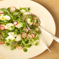 Spring Salad with Fresh Mozzarella_image