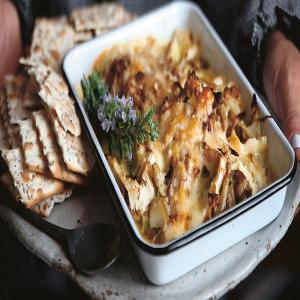 Caramelized Fennel and Brie Dip image