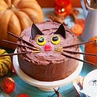 Black cat cake image