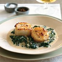 Seared Scallops on Spinach with Apple-Brandy Cream Sauce image