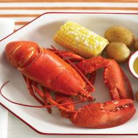 Boiled Lobsters with Corn and Potatoes image