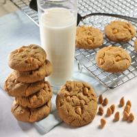 Butterscotch Gingerbread Cookies_image