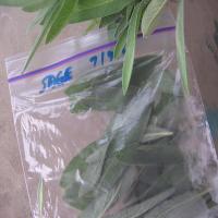 Freezing Herbs--Basil, Rosemary, Thyme, Oregano, Cilantro, Parsl_image
