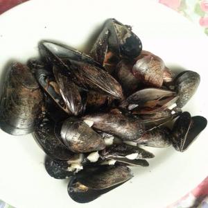 Garlic Steamed Mussels image