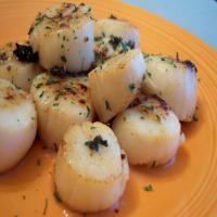 Coquilles St Jacques a La Provencale - Scallops With Garlic image