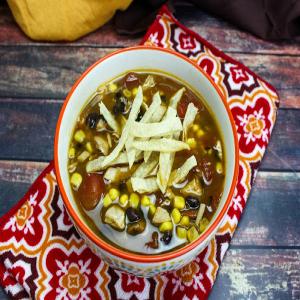 Instant Pot Mexican Chicken Tortilla Soup_image