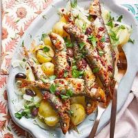 Grilled harissa sardines with fennel & potato salad image