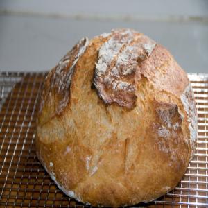 Artisan Boule Bread image