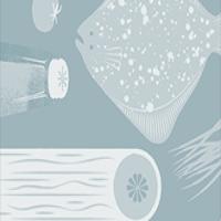 Fish Veloute (Veloute de Poisson) image