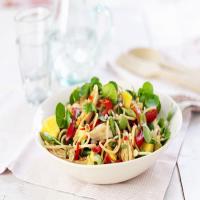 Asian Sesame Noodle-Chicken Salad image