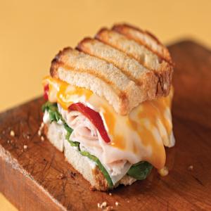 Panini with Turkey and Cheese image