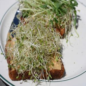 Peanut Butter and Sprout Sandwich_image
