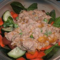 Orange Ginger Tuna Salad_image