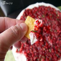 Cranberry JalapeñoCream Cheese Dip Recipe - (4.5/5) image