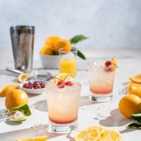Meyer Lemon Rum Sour Cocktail_image