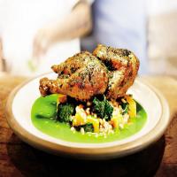 Skillet-Roasted Chicken with Farro and Herb Pistou_image