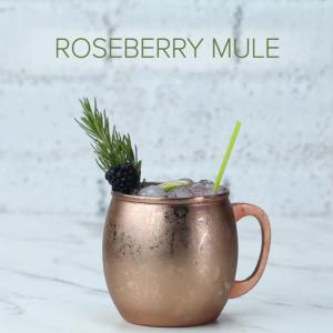 Roseberry Mule Mocktail Recipe by Tasty_image